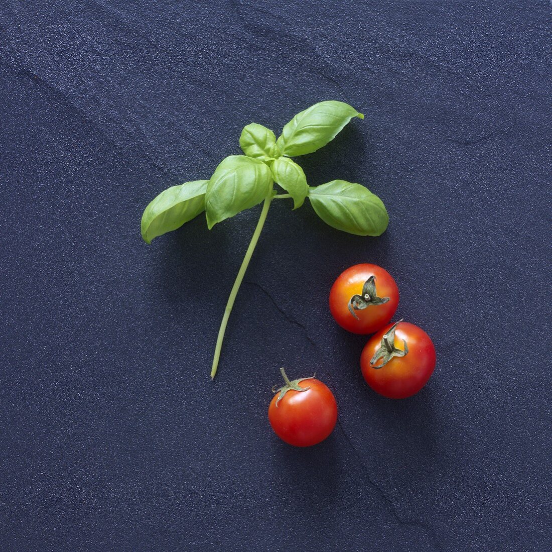 Sprig of basil and cherry tomatoes