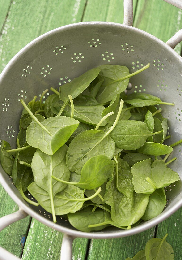 Fresh spinach leaves in colander