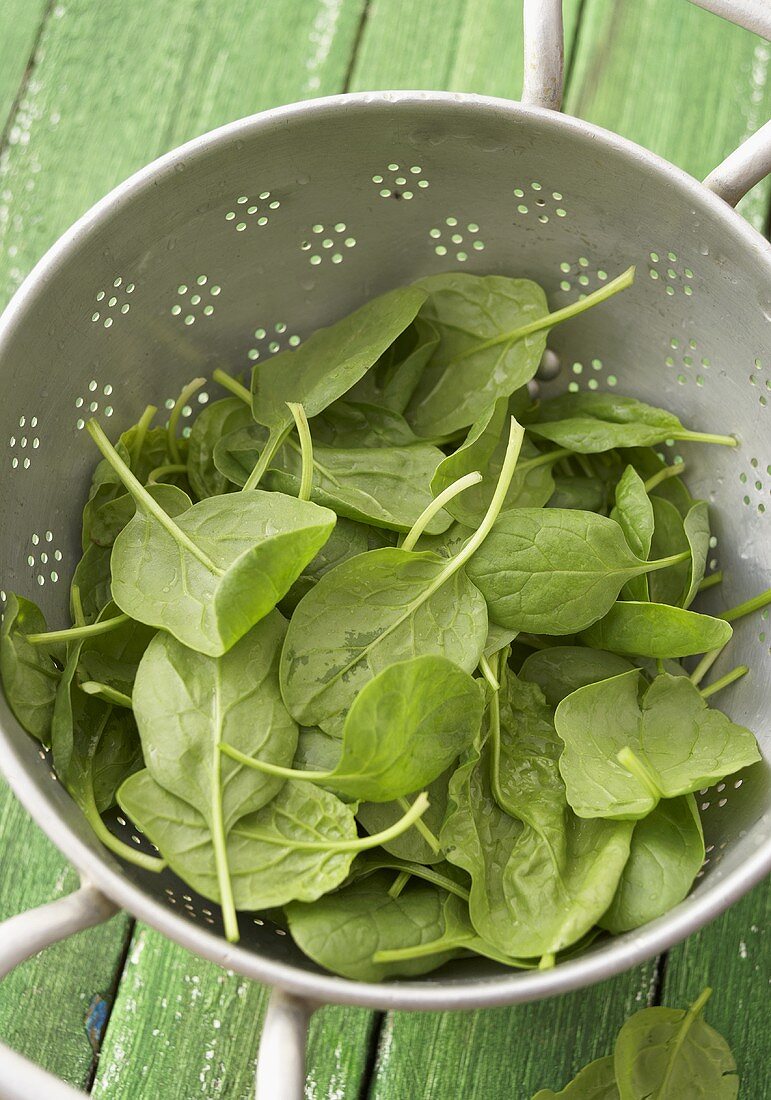 Frische Spinatblätter im Küchensieb