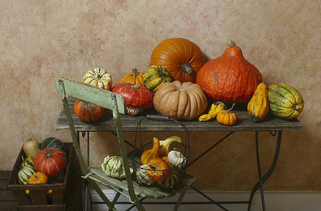 Assorted squashes and pumpkins on old garden table and chair