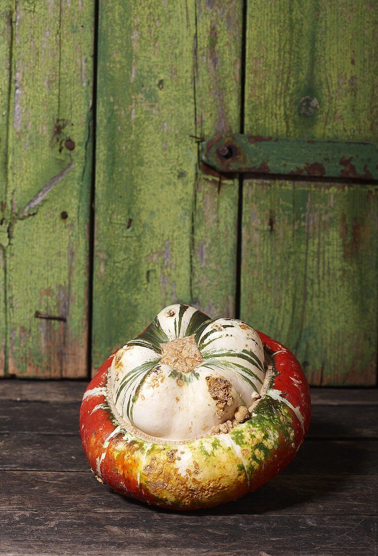 A Turk's Turban squash on wooden background