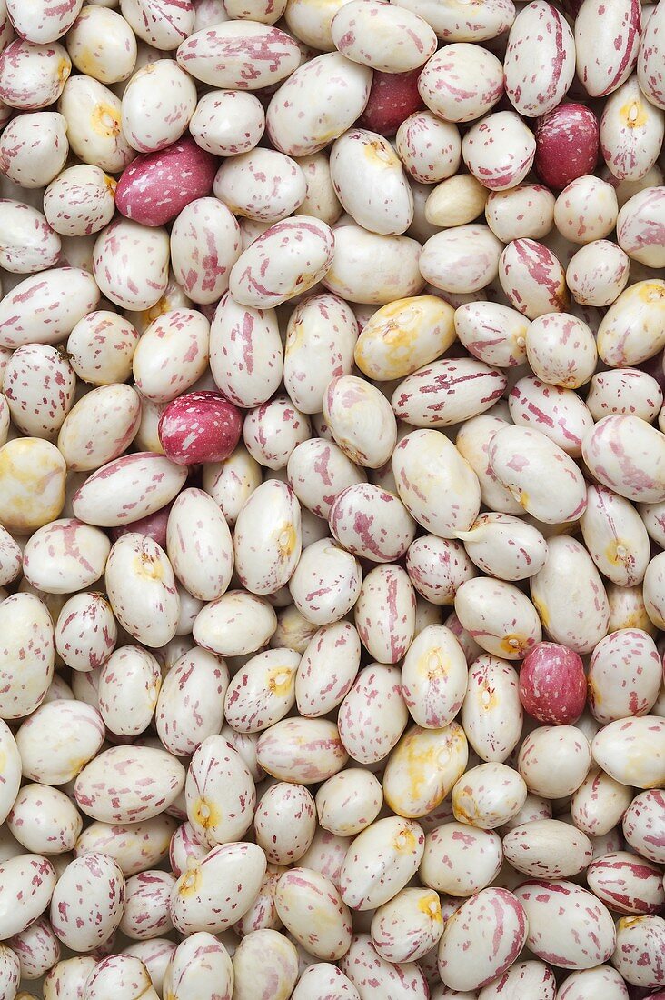 Borlotti beans, full-frame