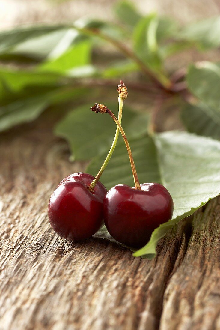 Two cherries with leaves on wooden background