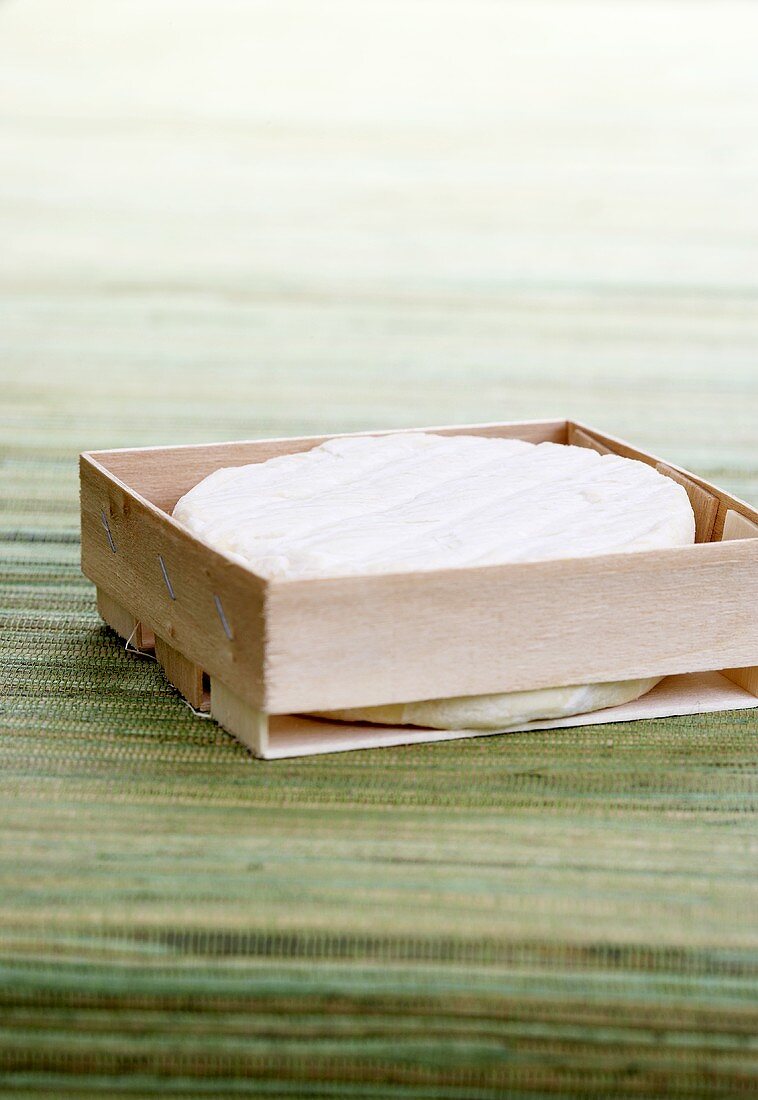Soft cheese in woodchip box