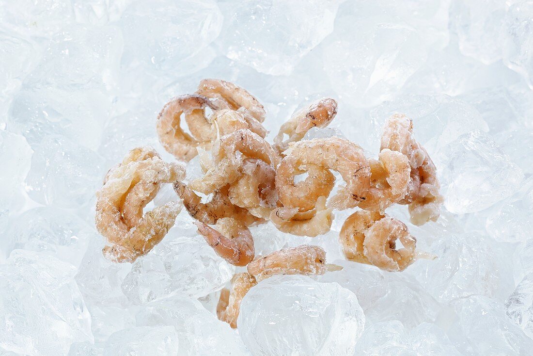 Frozen, peeled shrimps on ice