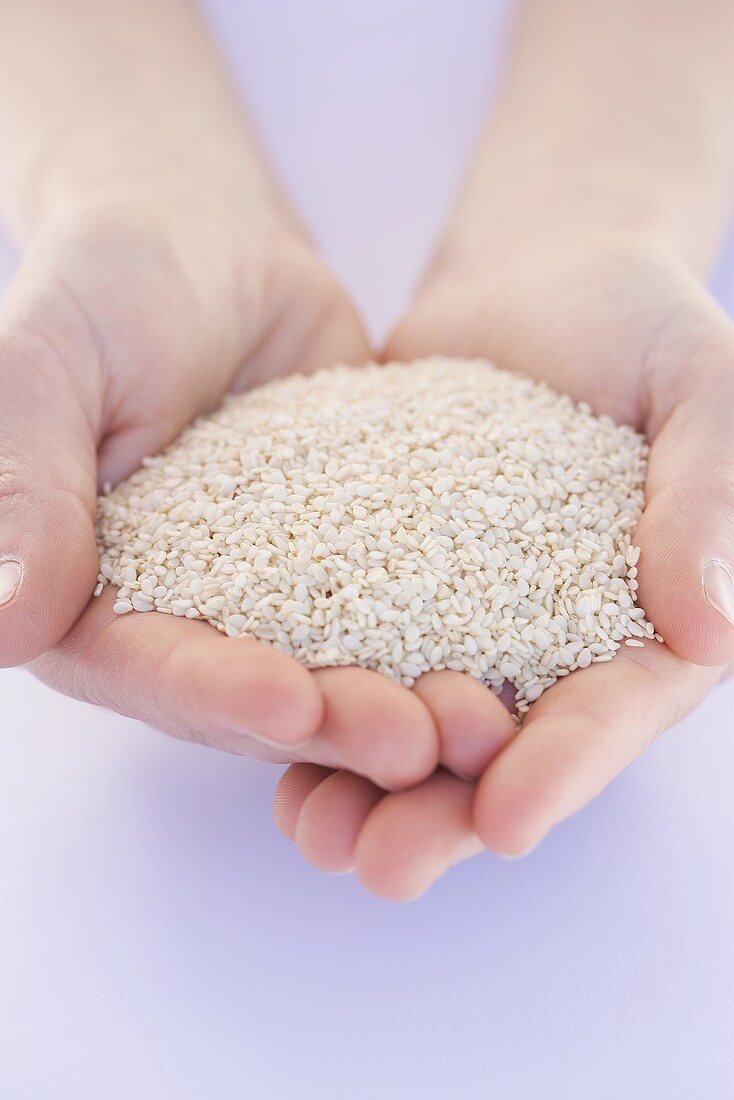 Hands holding sesame seeds