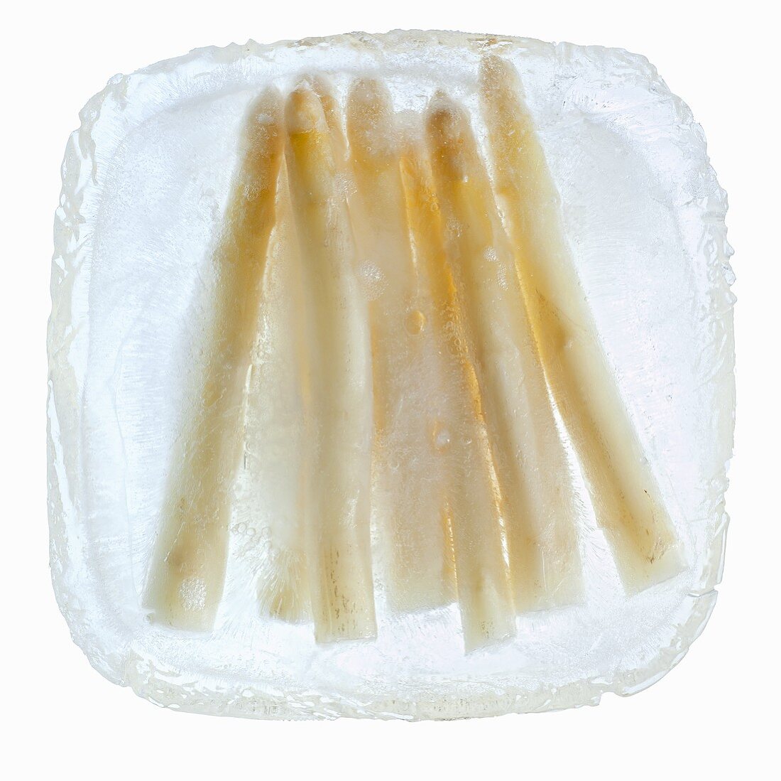 White asparagus in a block of ice