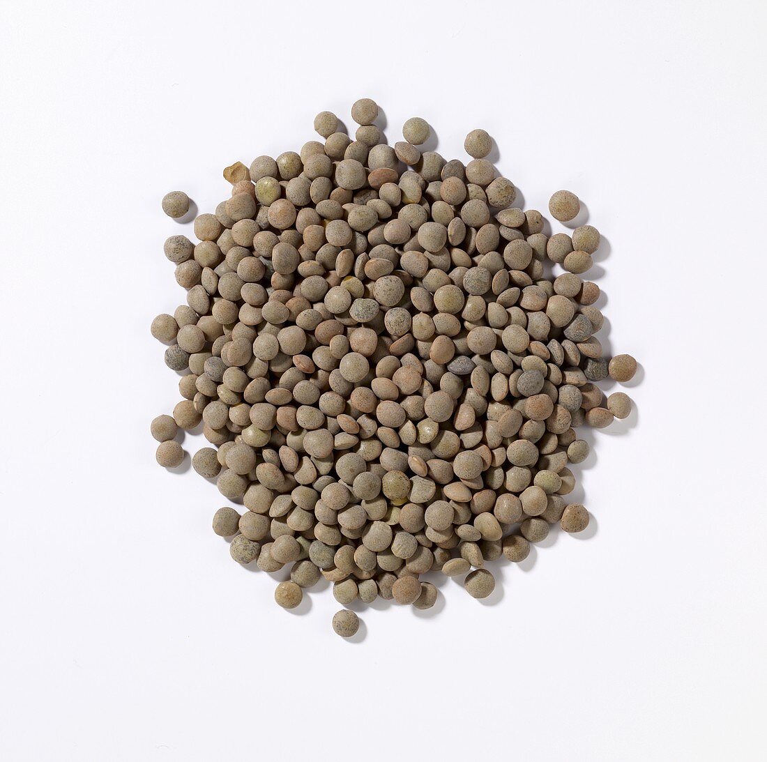 A heap of Pardina lentils