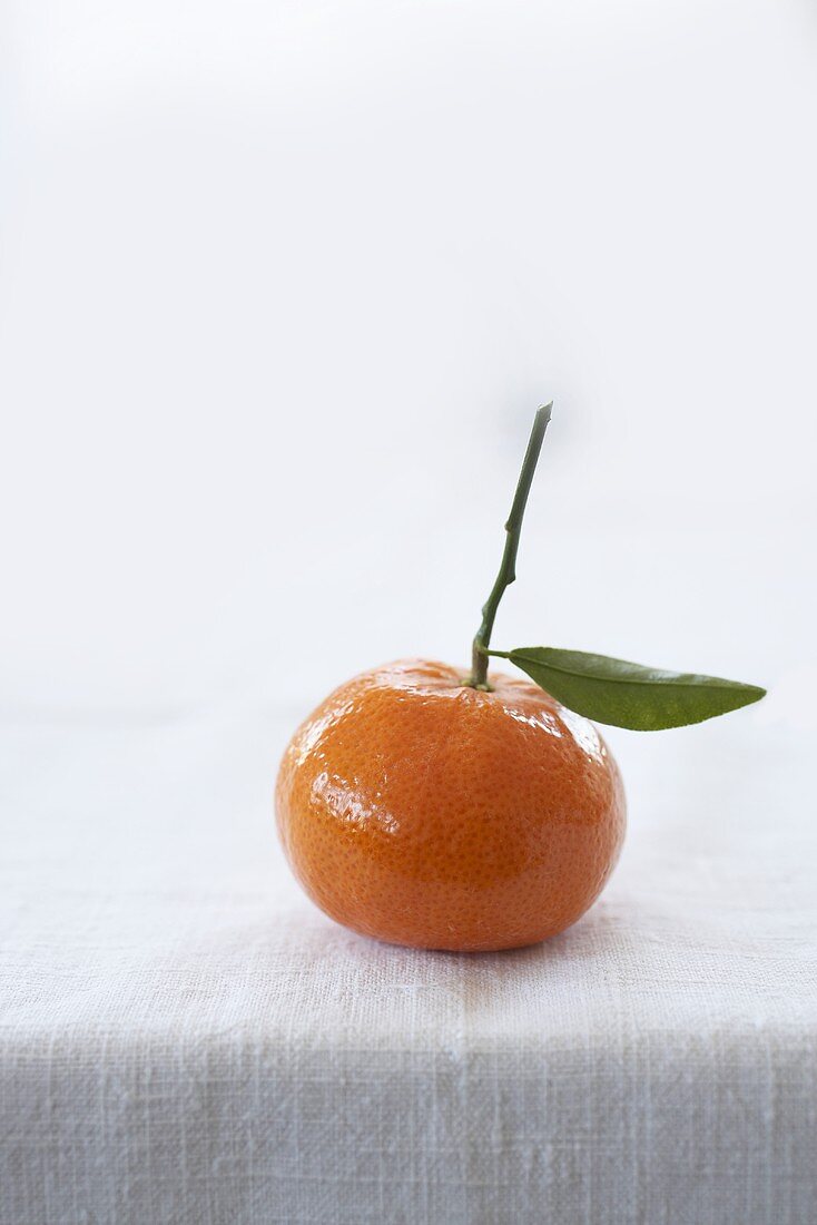 Eine Mandarin-Orange