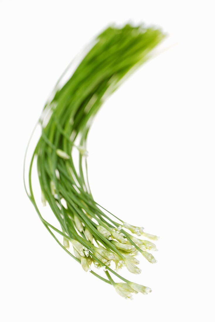 Garlic chives