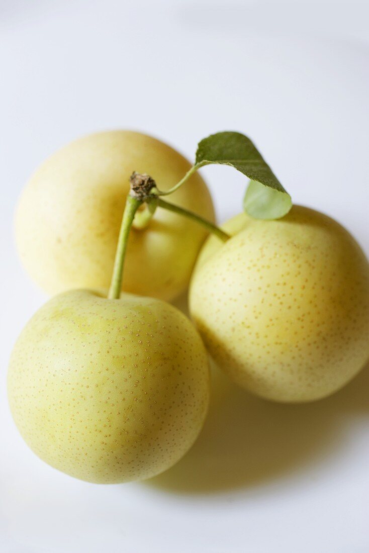 Three Asian pears (also known as nashi pears)