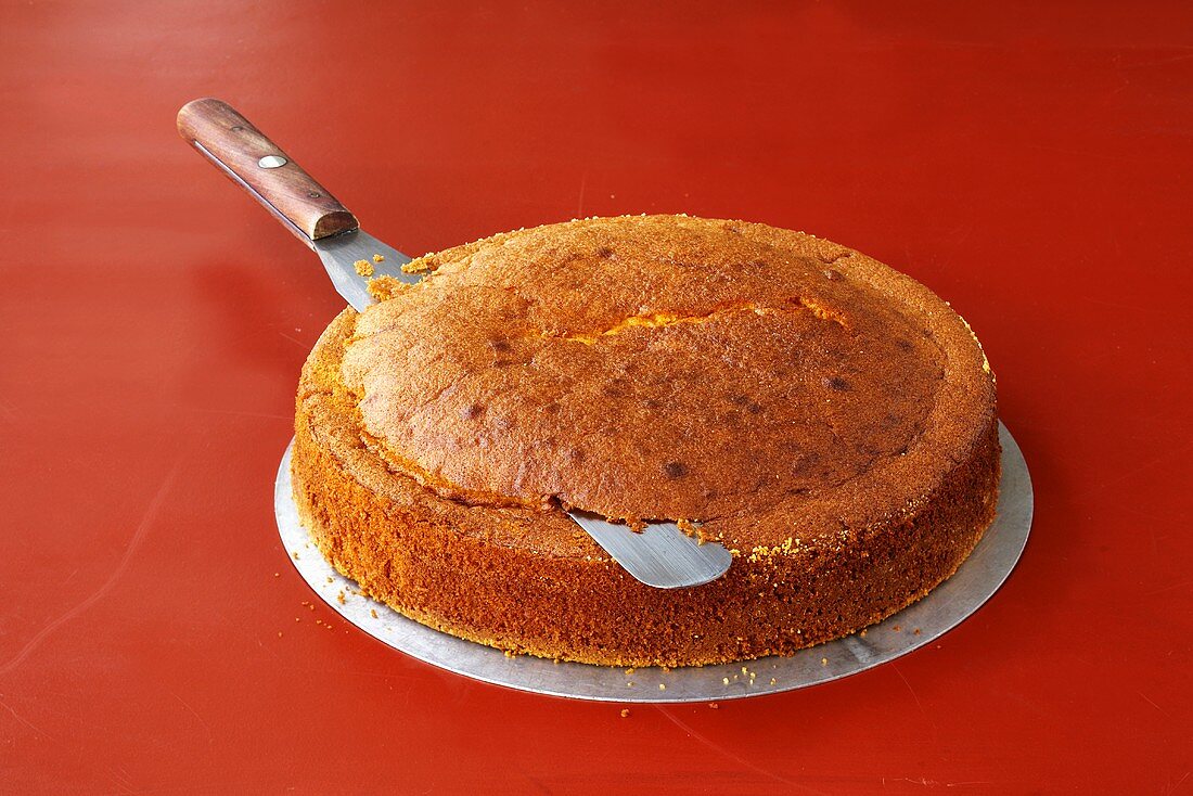 Preparing a cake for icing (cutting off the rounded top)