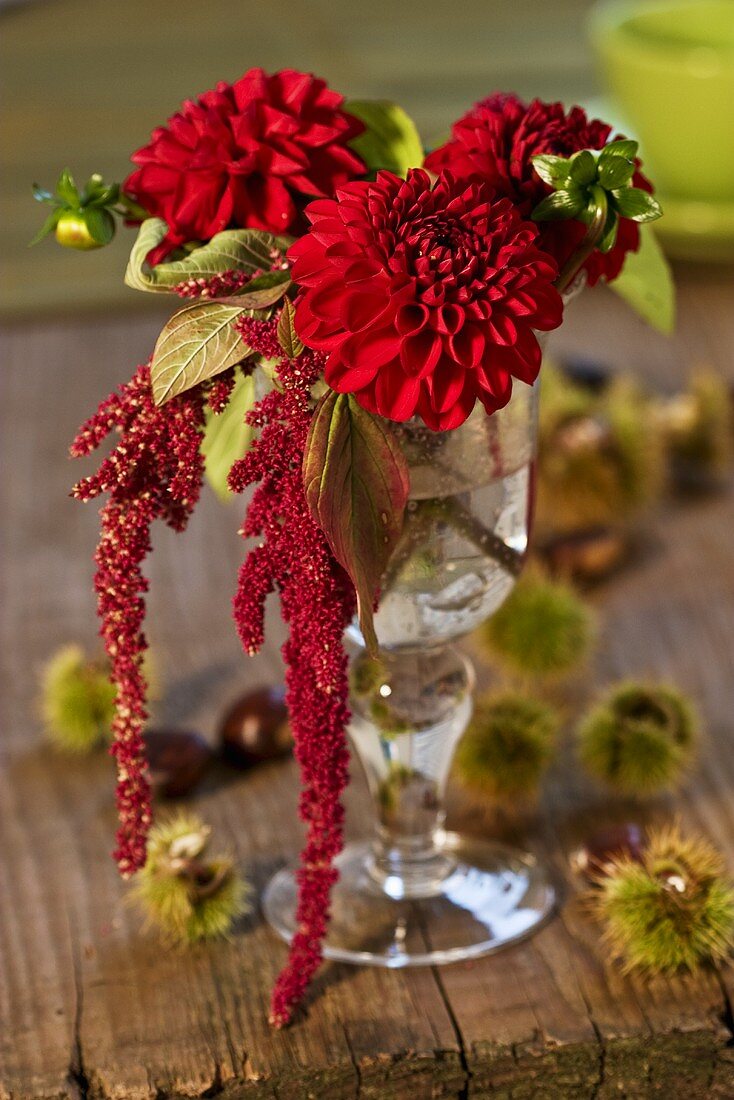 Pompom dahlias and amaranthus in a glass