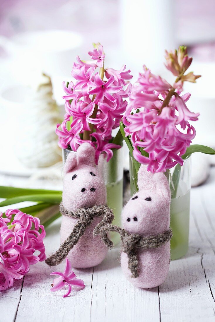 Hyacinths with lucky pigs