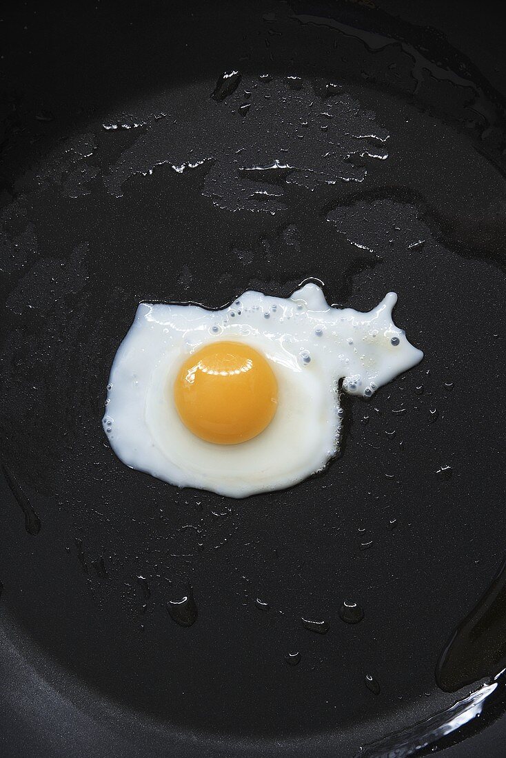 A fried quail's egg in a frying pan from above