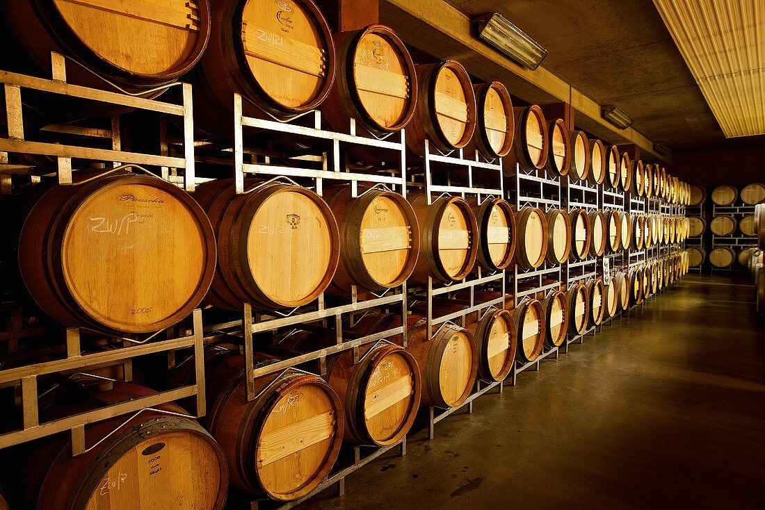 Barriques in a wine cellar