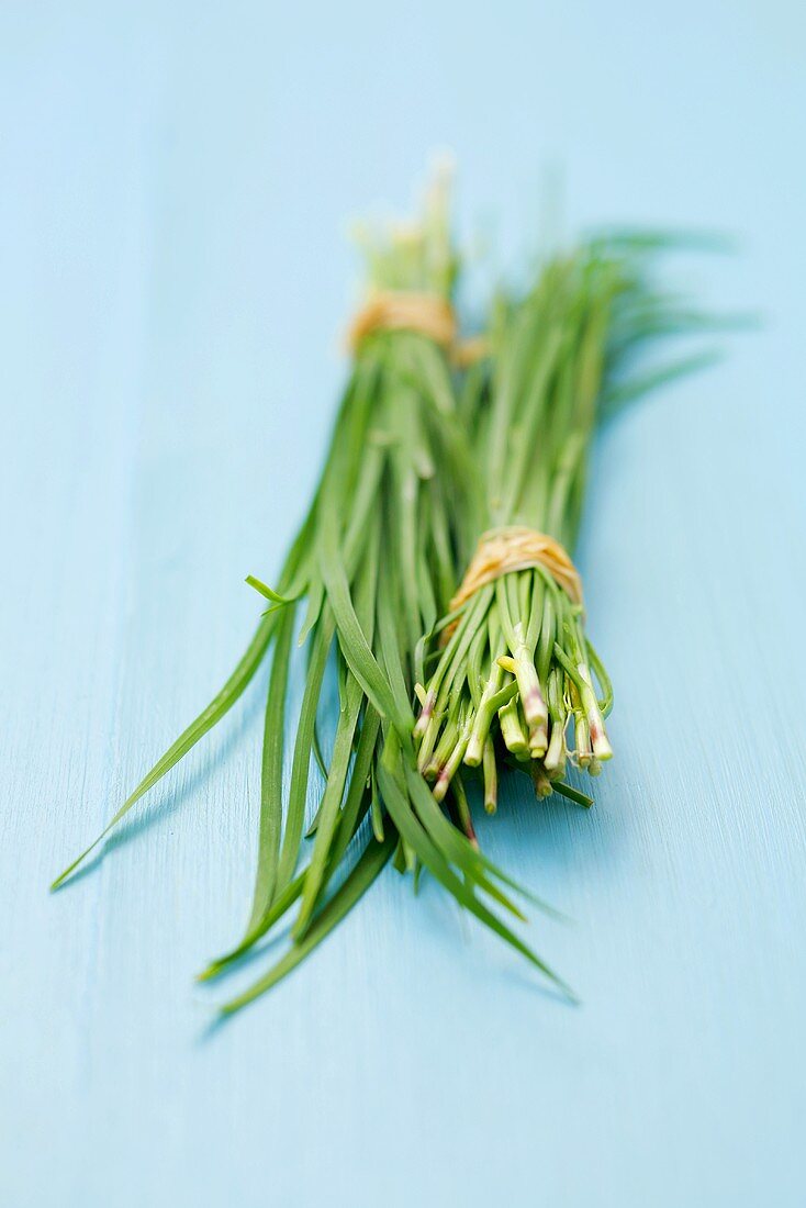 Two bunches of garlic chives