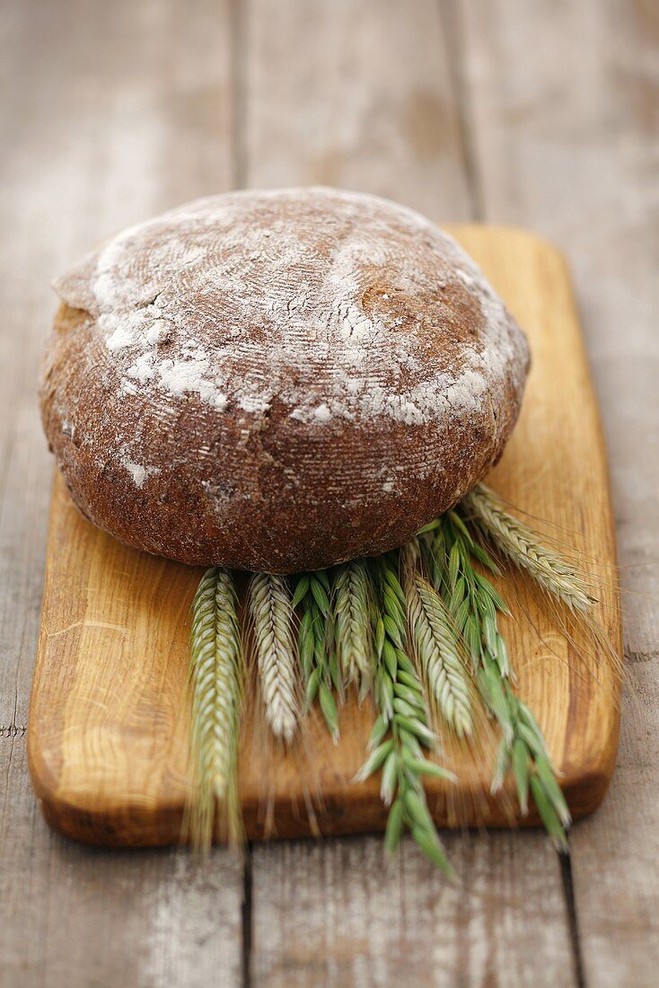 Wholemeal bread with bran, pumpkin- & sunflower seeds, cereal ears