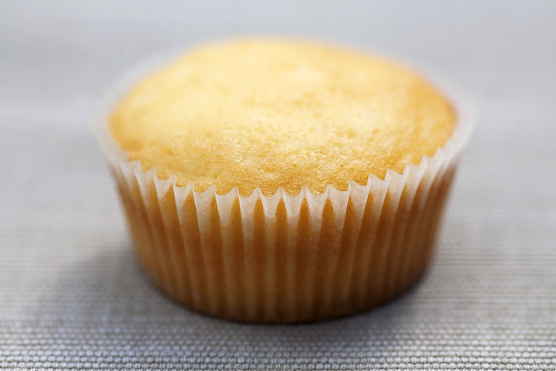 Muffin in a paper case