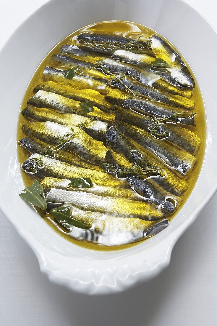 In Olivenöl eingelegte Sardinen