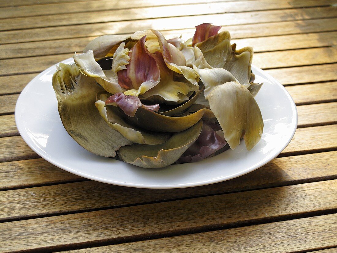 Artichoke leaves on plate