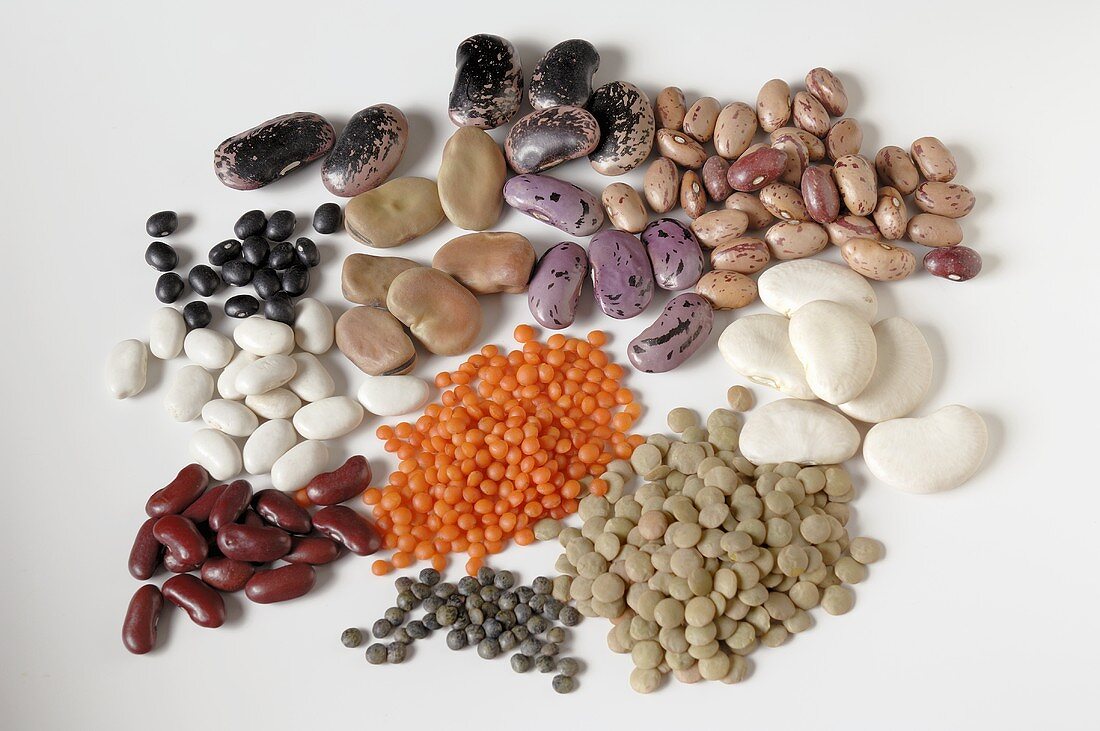Various types of lentils and beans