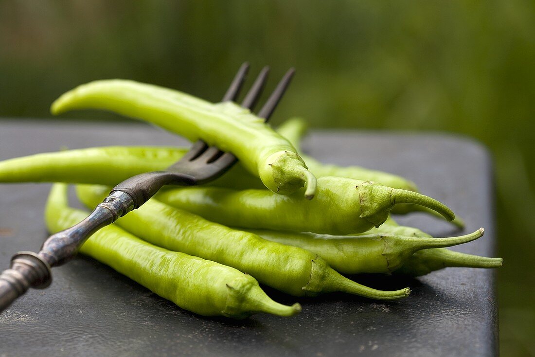 Green chillies with fork