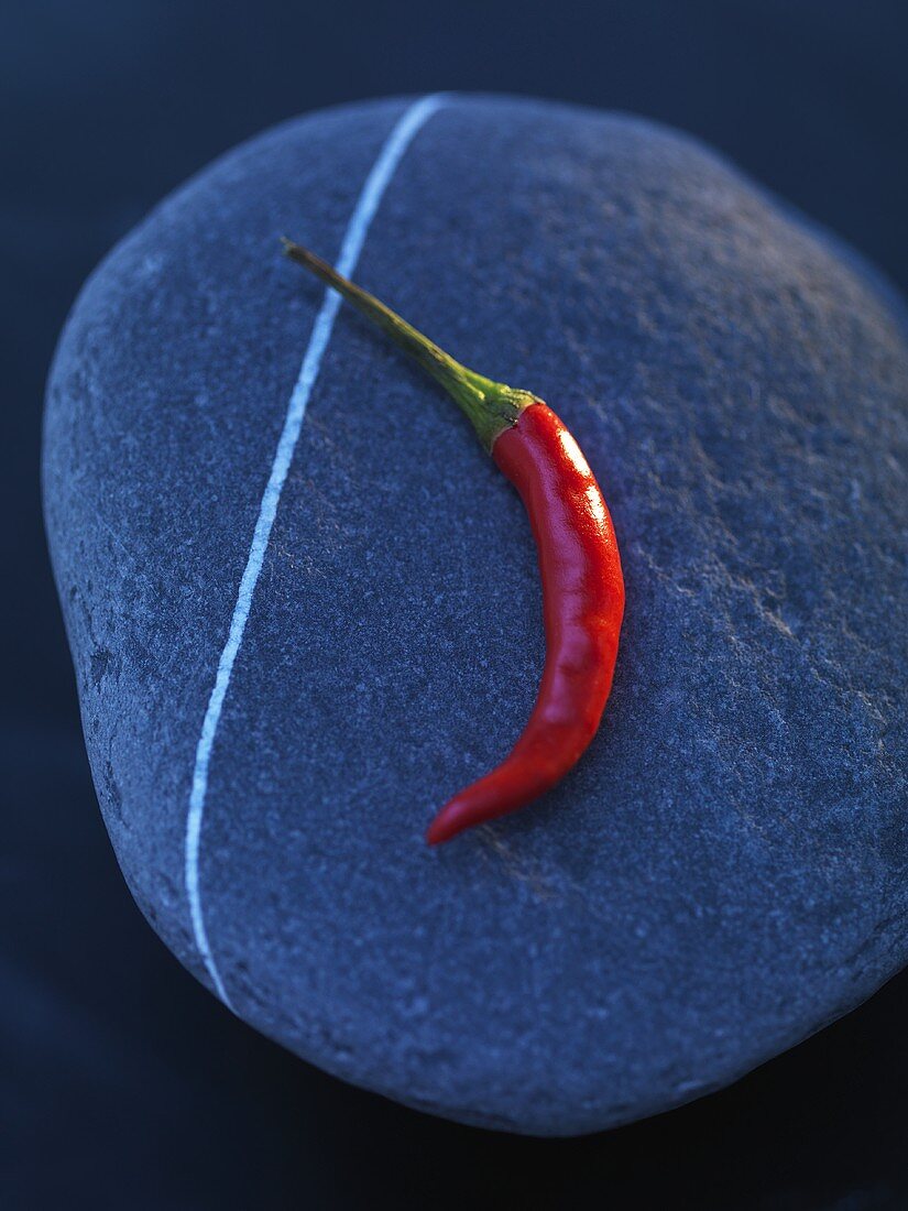 Chilischote auf blauem Stein