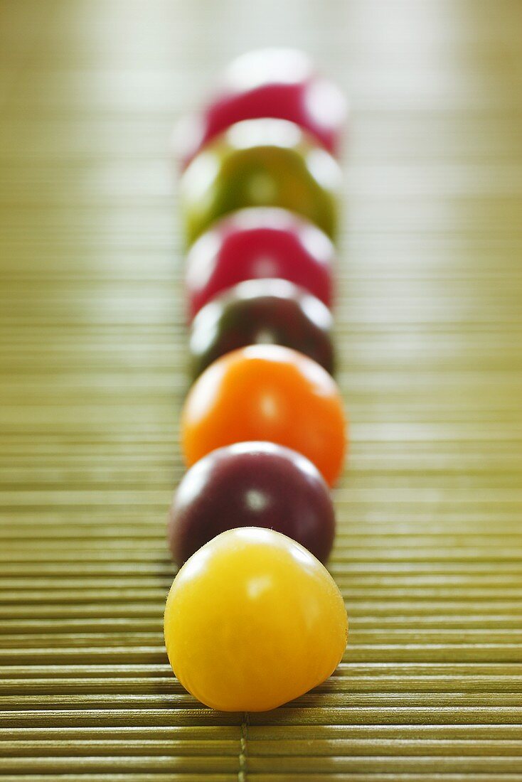 Tomatoes of various colours in a row