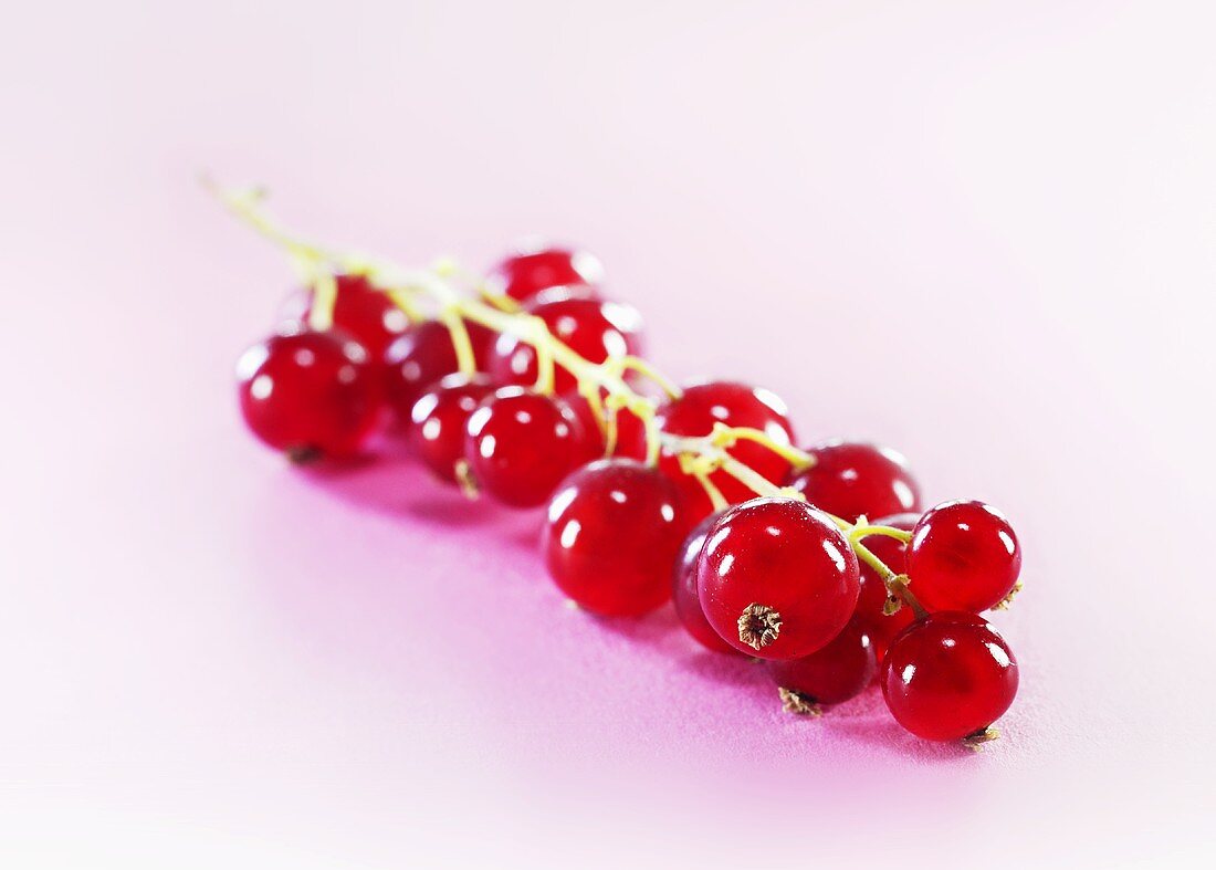 Rote Johannisbeeren