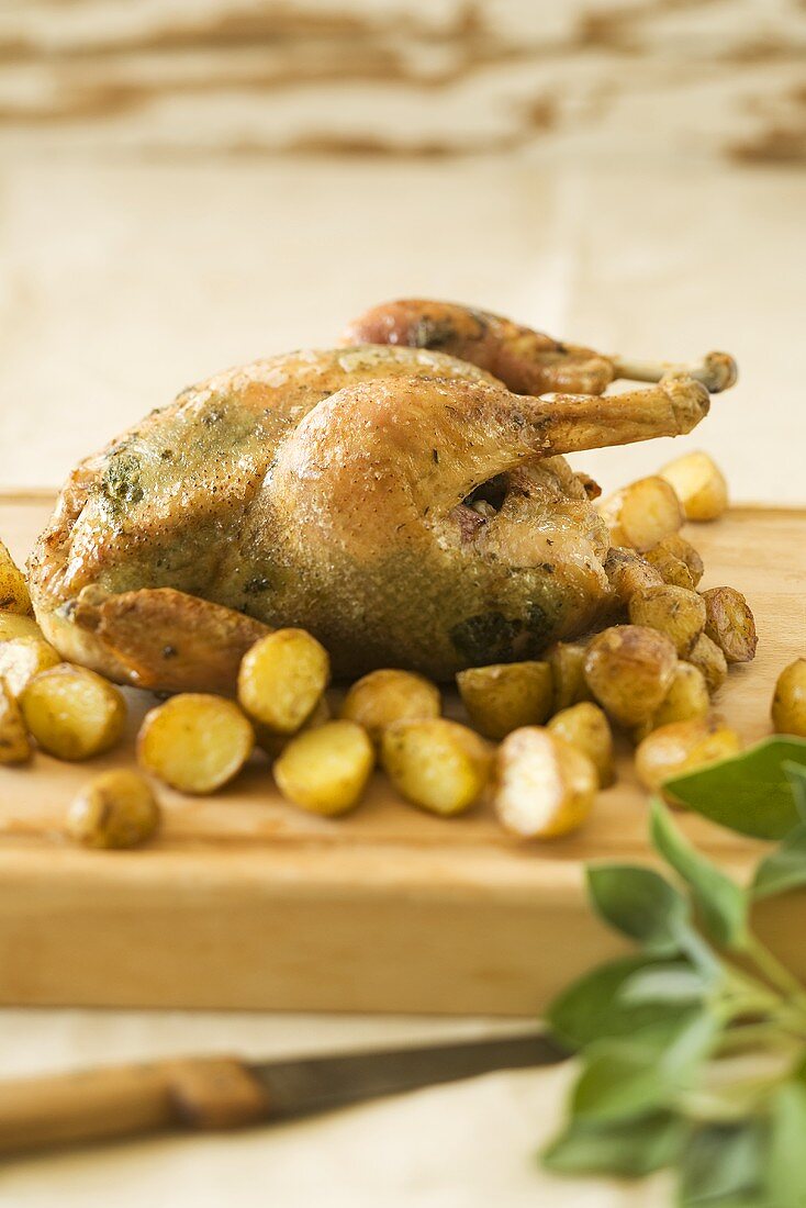 Chicken with sage stuffing and potatoes