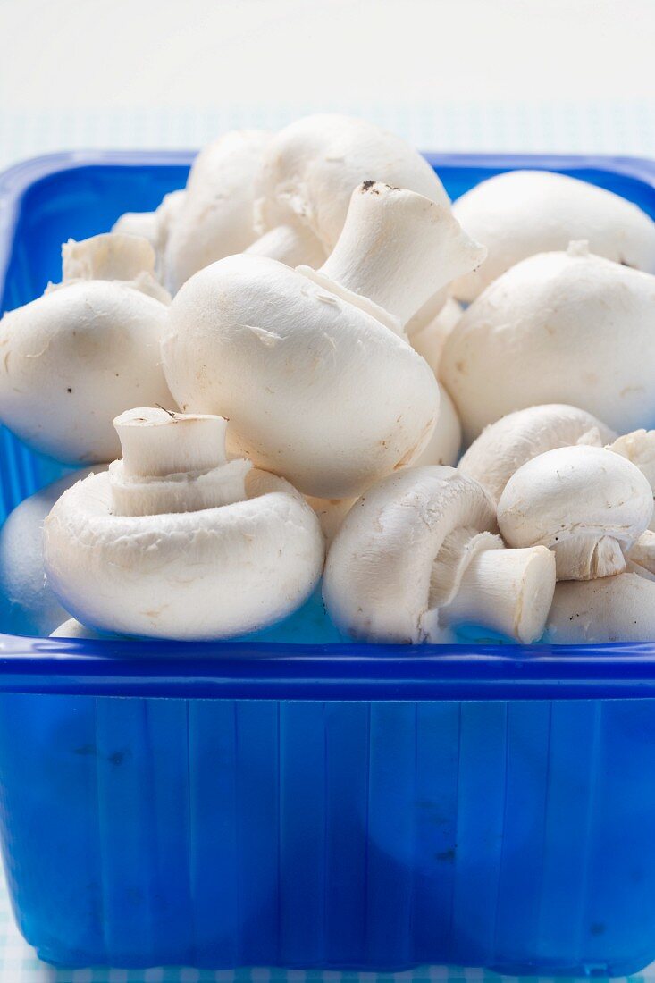 Fresh button mushrooms in a plastic punnet