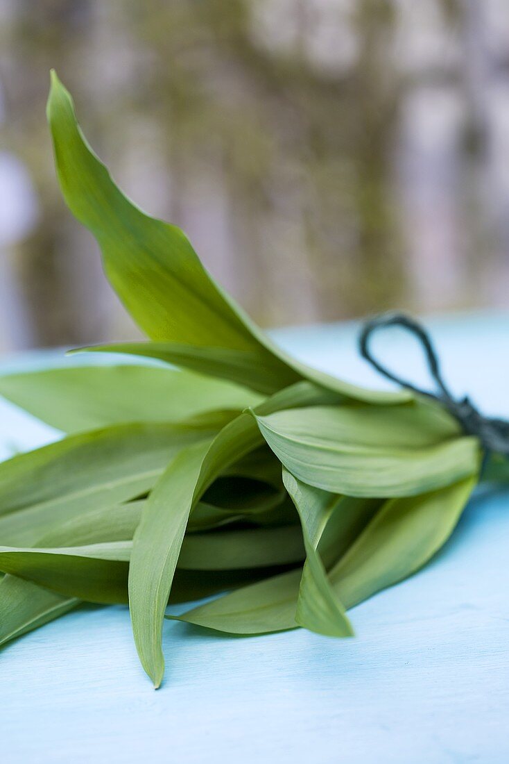 Fresh ramsons (wild garlic)