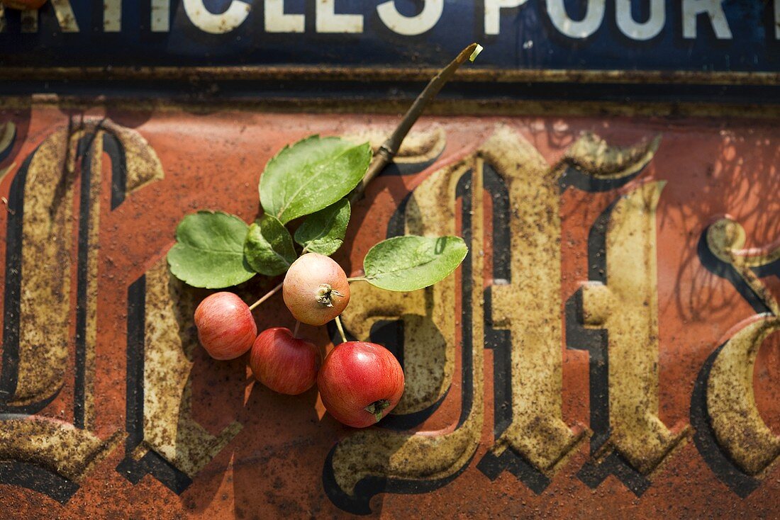Zieräpfel auf einem alten Schild