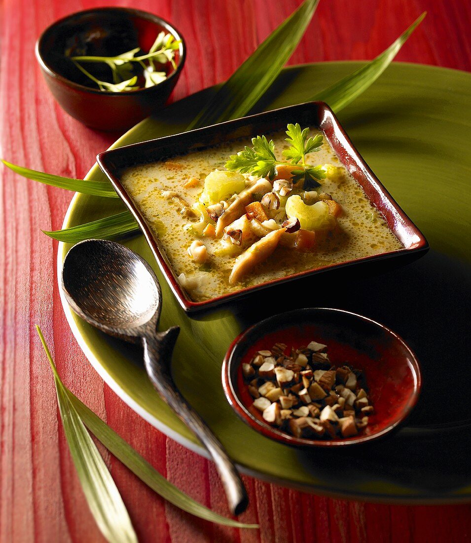 Hähnchen-Gemüsesuppe, Indien