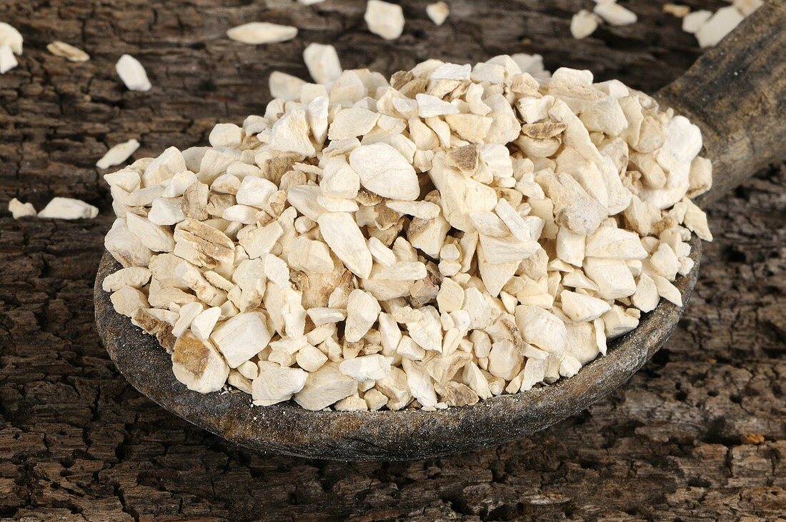 Angelica root (Angelica dahurica) on a wooden spoon