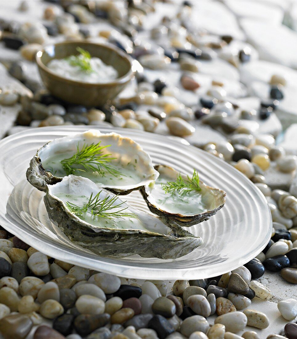Oysters with dill sauce