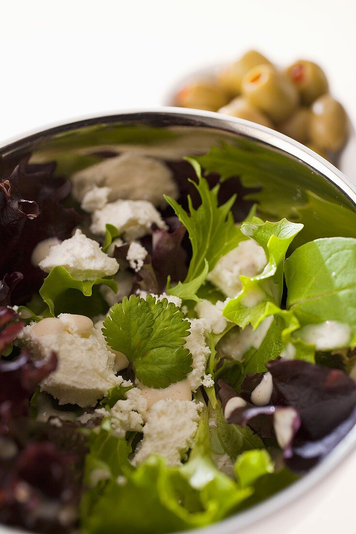 Salad leaves with goat's cheese and stuffed olives