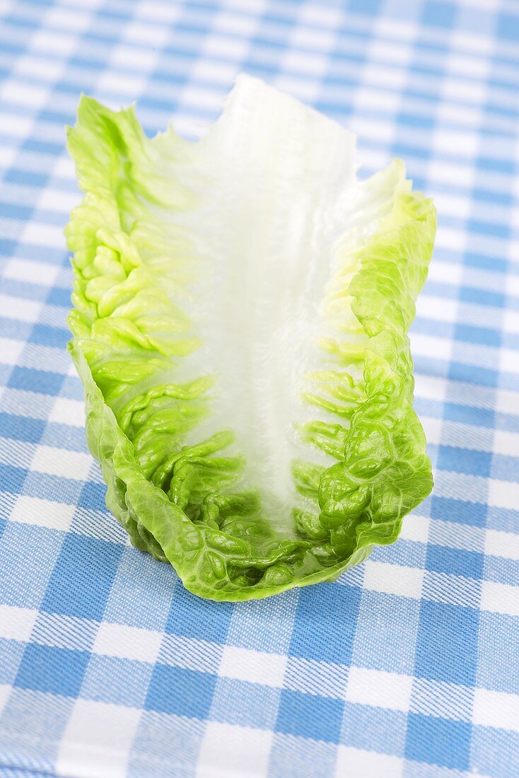 Salatblatt auf kariertem Geschirrtuch