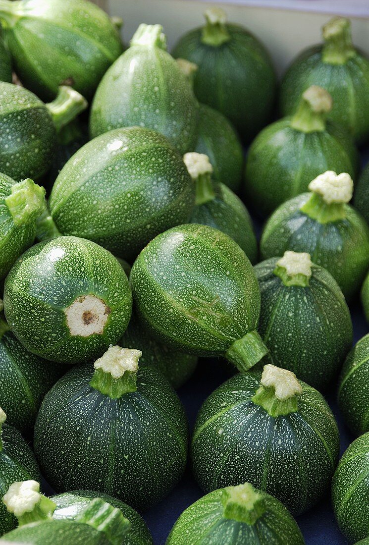 Round courgettes