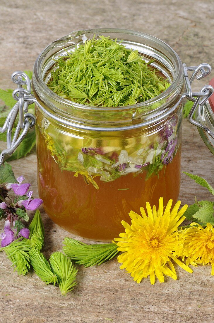Fichtenspitzen und Blütenblätter in und neben einem Honigglas