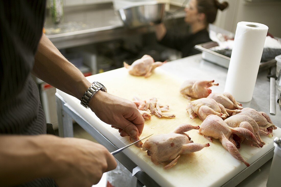 Preparing quail