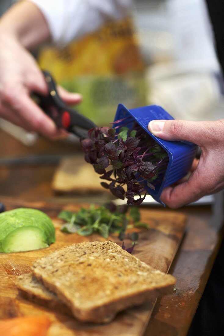 Cutting cress with scissors