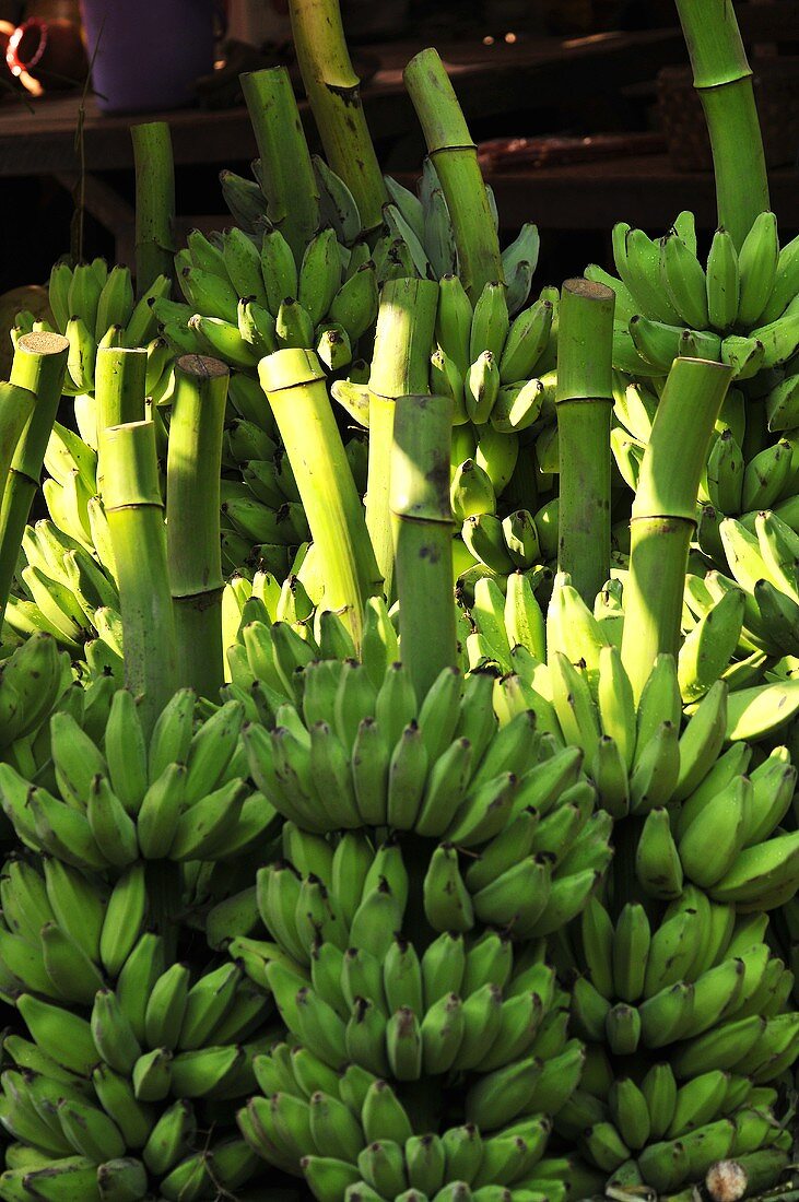 Bunches of green bananas