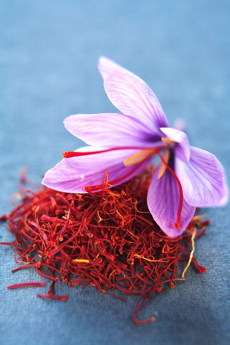 Krokus und Safranfäden