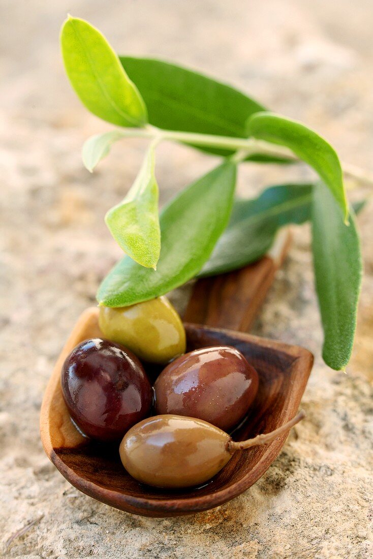 Oliven im Holzlöffel (Nahaufnahme)