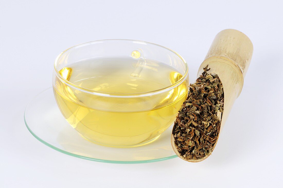 Mongolischer Löwenzahnkraut Tee