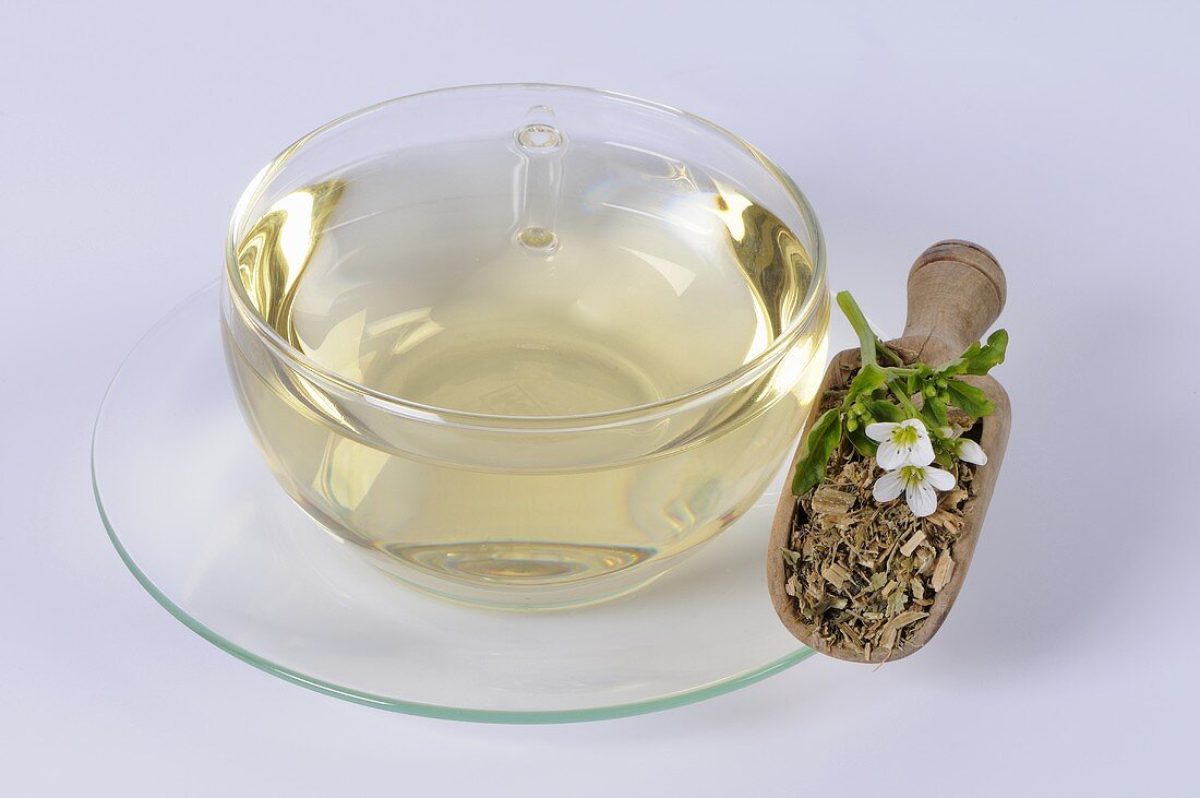 Watercress tea (Nasturtium officinale)