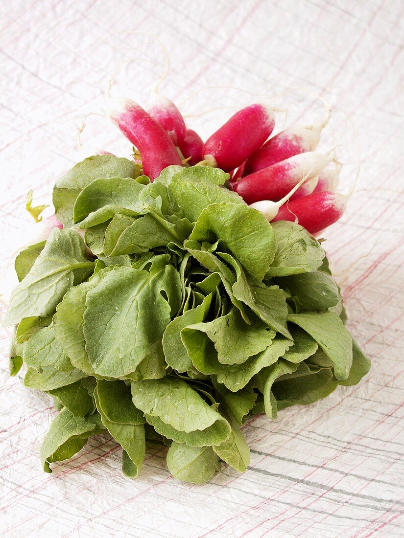 Radishes with leaves