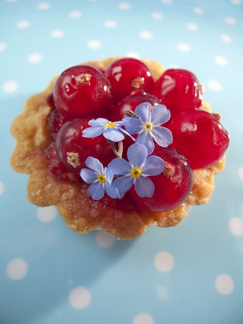 Redcurrant tart with flowers